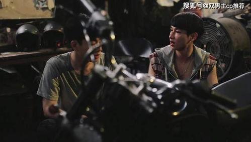 早期的国产双男主视频,情感纠葛与时代变迁的交织