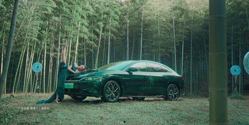 国产电动汽车大比拼视频,性能与创新的较量