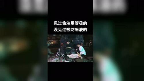 国产编程搞笑视频大全,国产编程搞笑视频大盘点