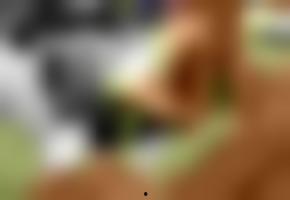 欧美在线视频图片国产,欧美在线视频图片国产生态圈概览