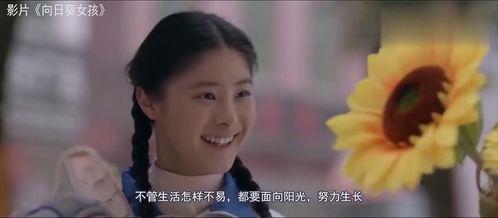 国产没钱被迫在线视频,资金困境下的在线视频逆袭之路