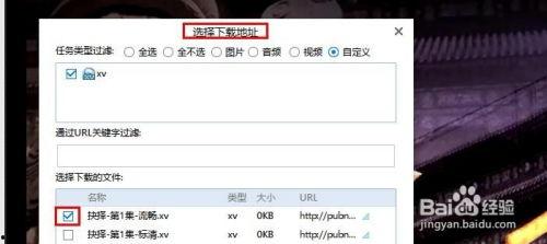 国产精选迅雷下载视频,畅享高清视频盛宴